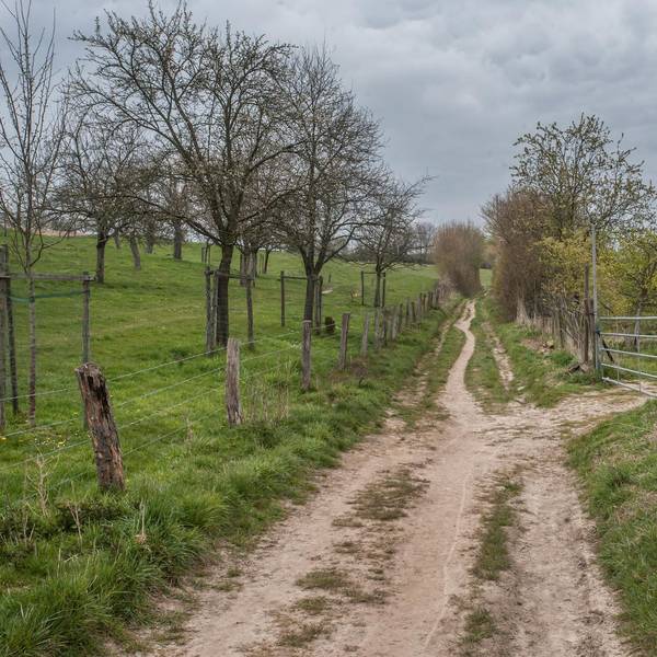 leverkusen-obstweg-ALF_0123 (1)