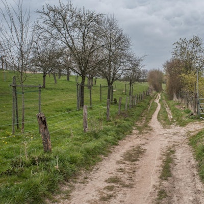 leverkusen-obstweg-ALF_0123 (1)