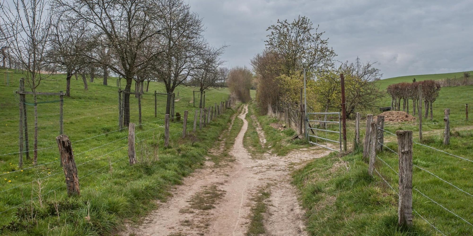 leverkusen-obstweg-ALF_0123 (1)