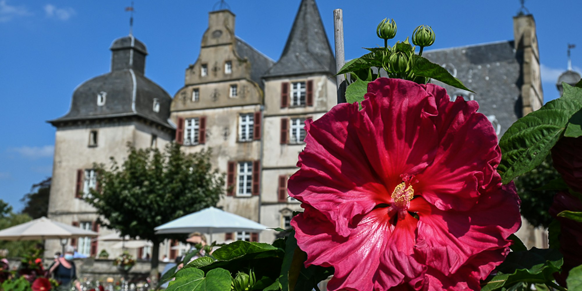 Schloss Bodelschwingh