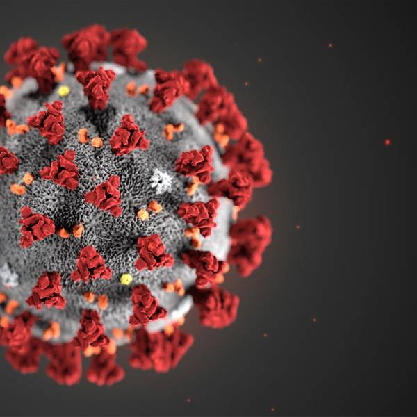 Coronavirus