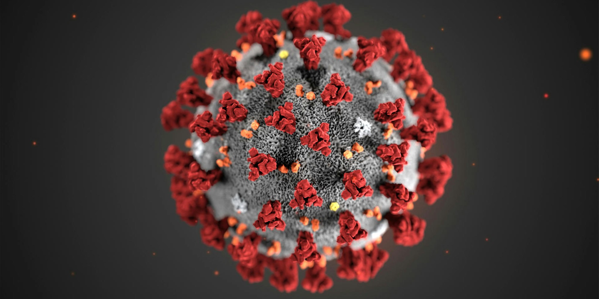 Coronavirus