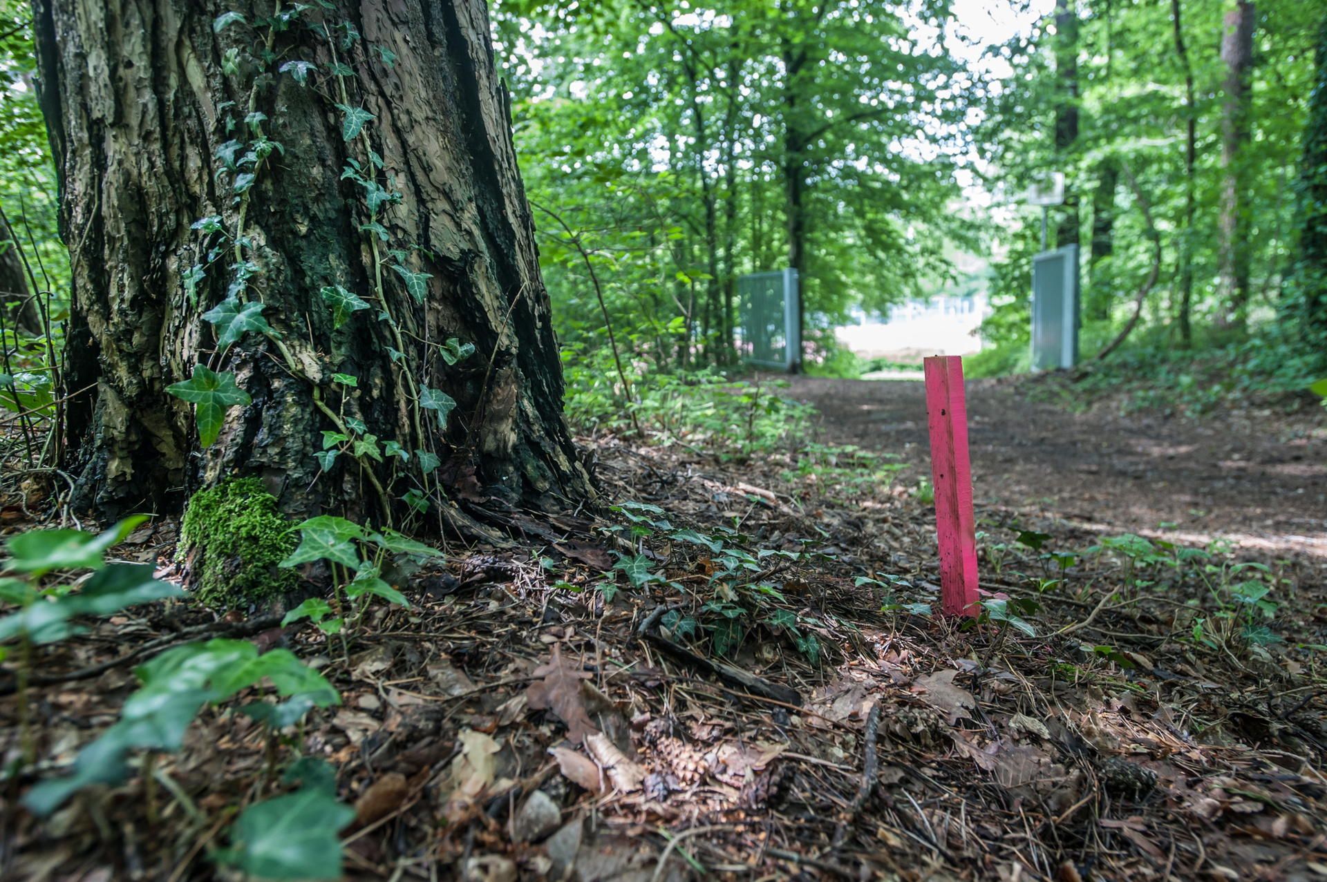 leverkusen-gasleitung--ALF_8462
