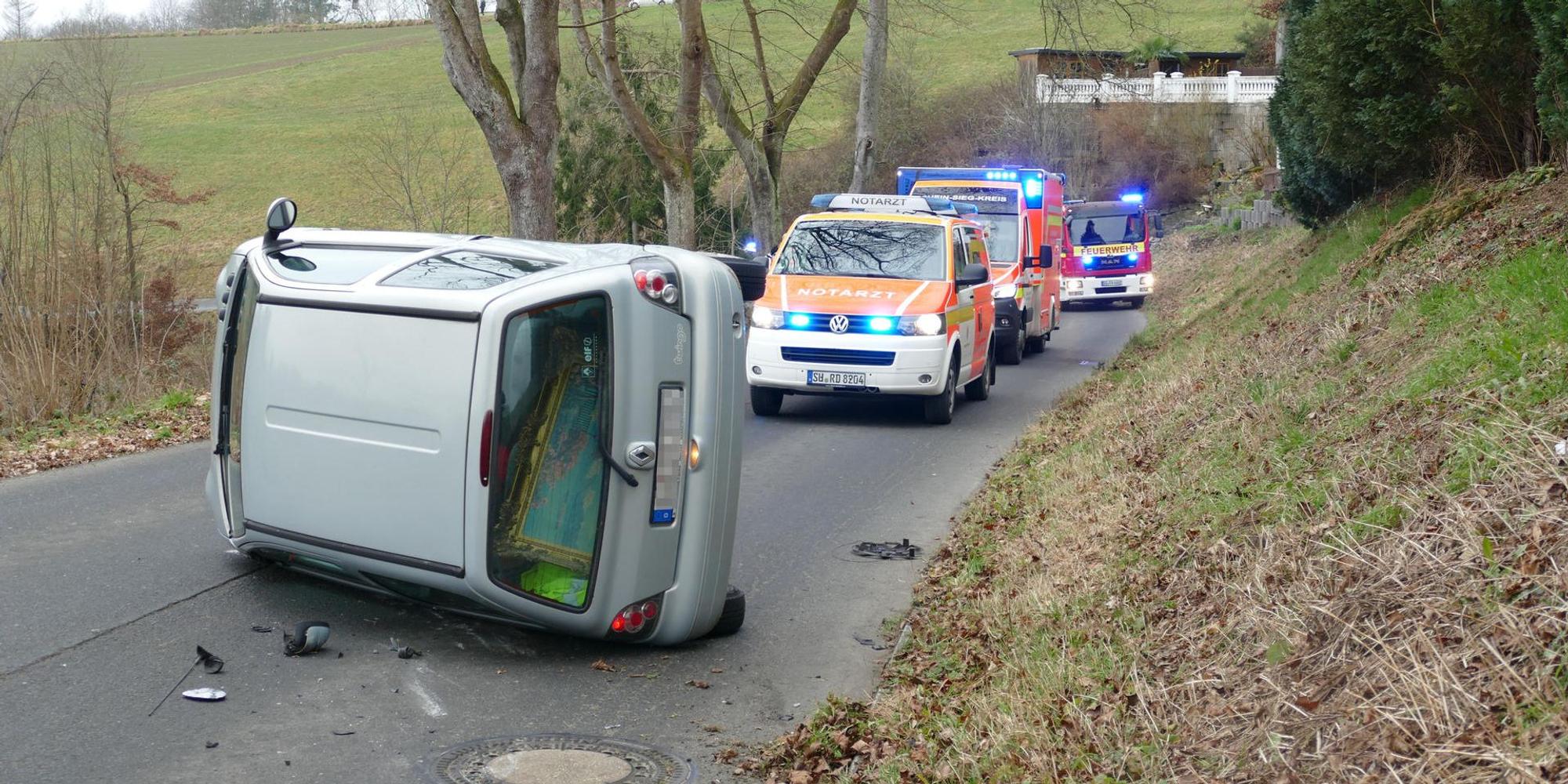 Neuer Inhalt (2)