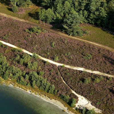 Hoge Kempen BE imago blickwinkel