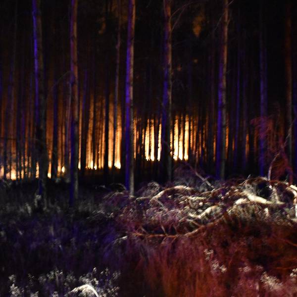 Waldbrand Brandenburg DPA 190622