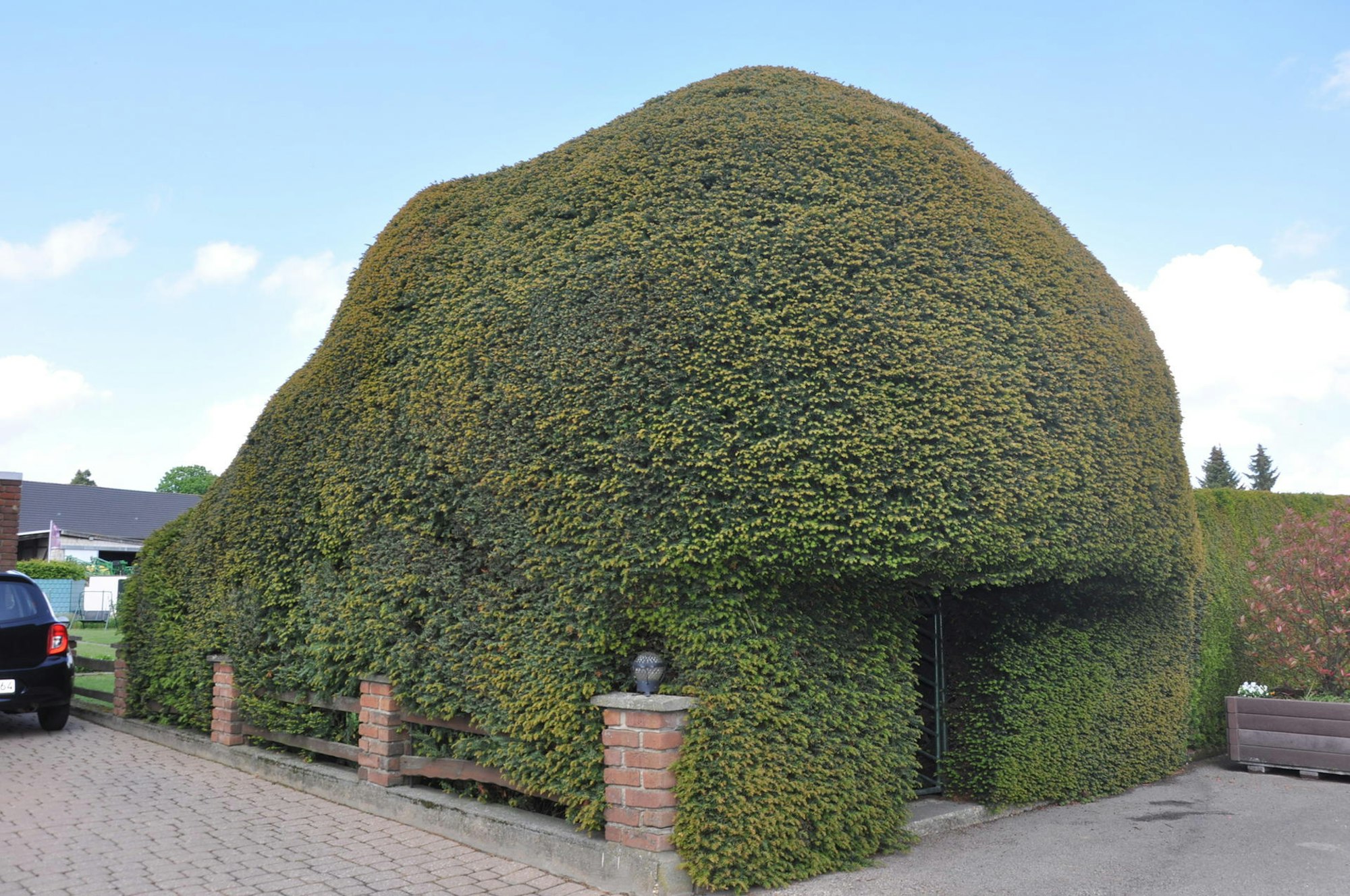 bb-Puetz-825-Jahre-FTZ_(9)