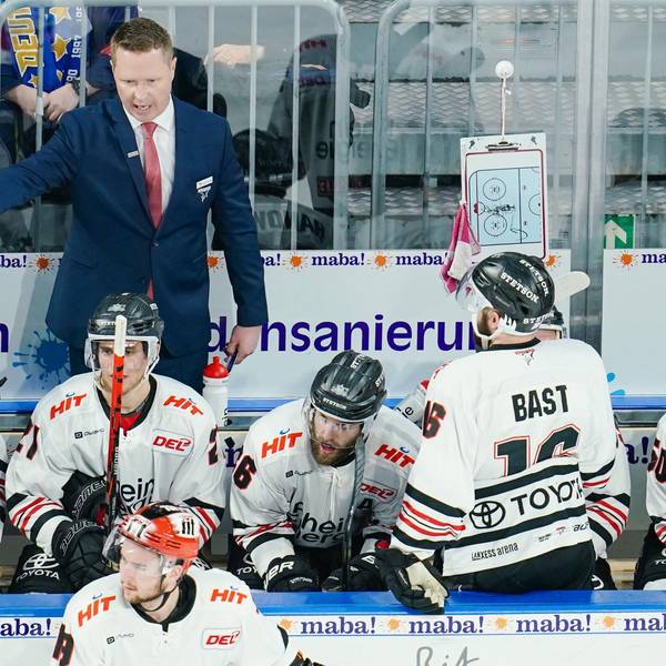 Stewart Kölner Haie