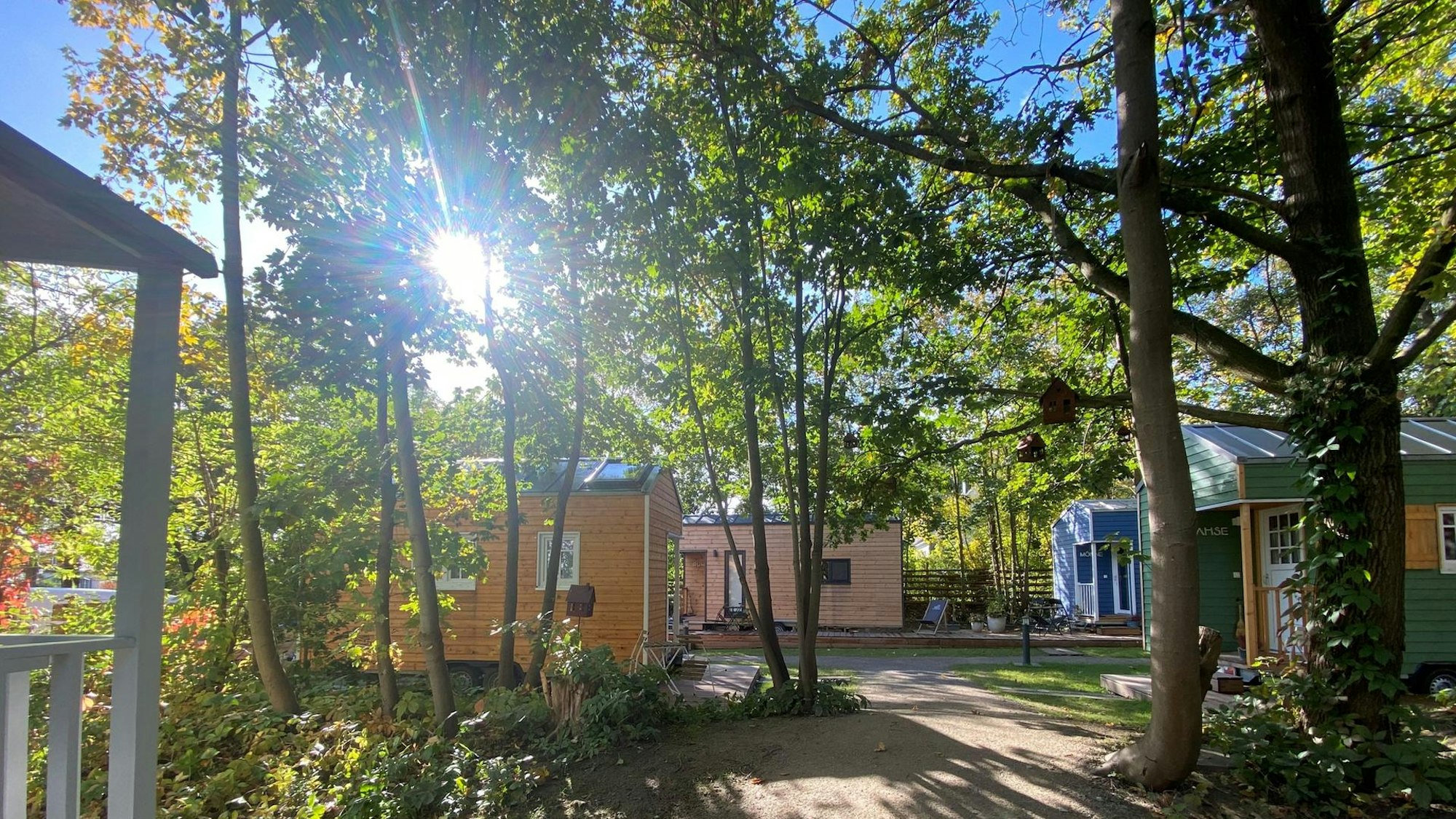 Bunte Tiny Houses aus Holz sind zwischen Bäumen verstreut.