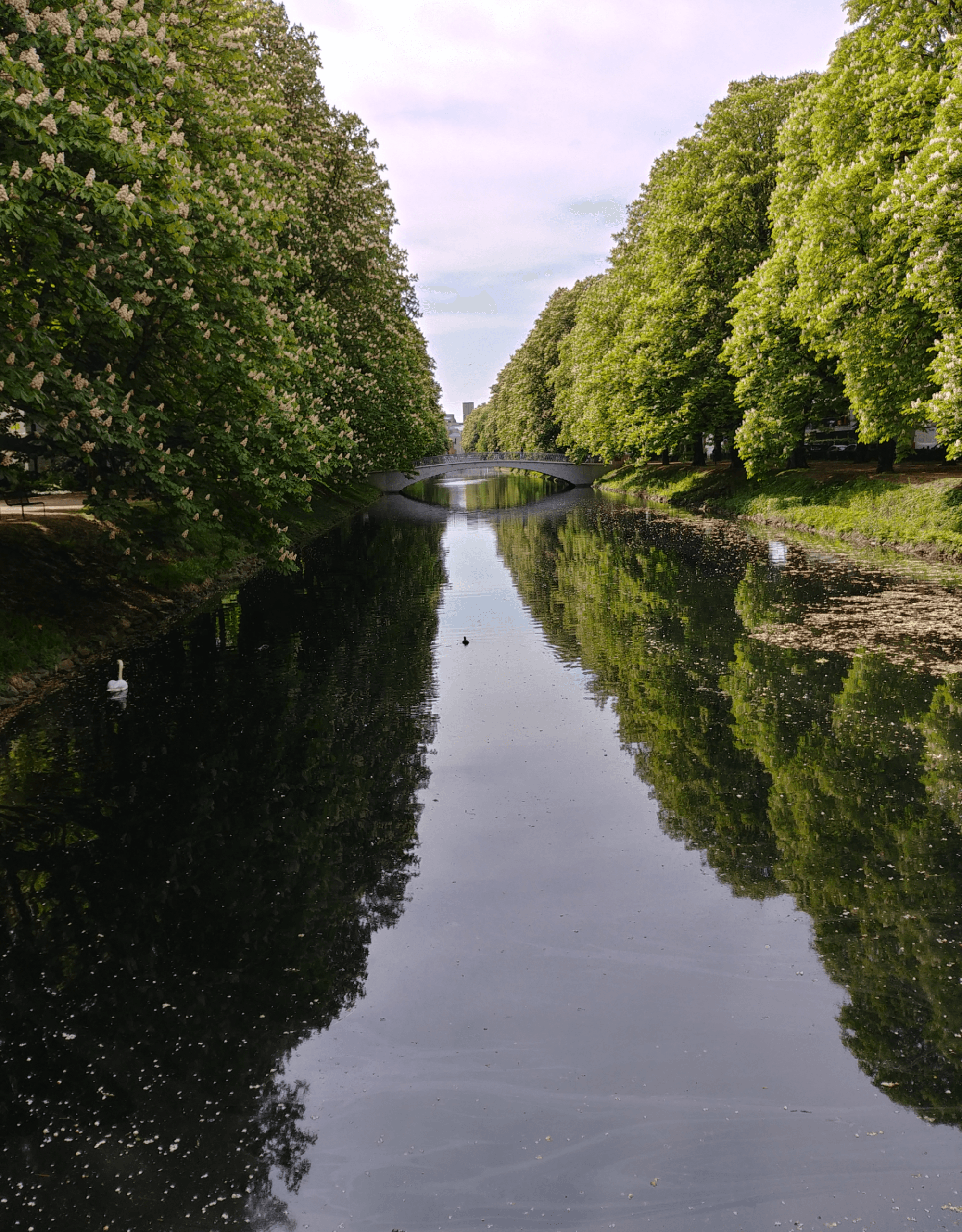 Brücke (1)