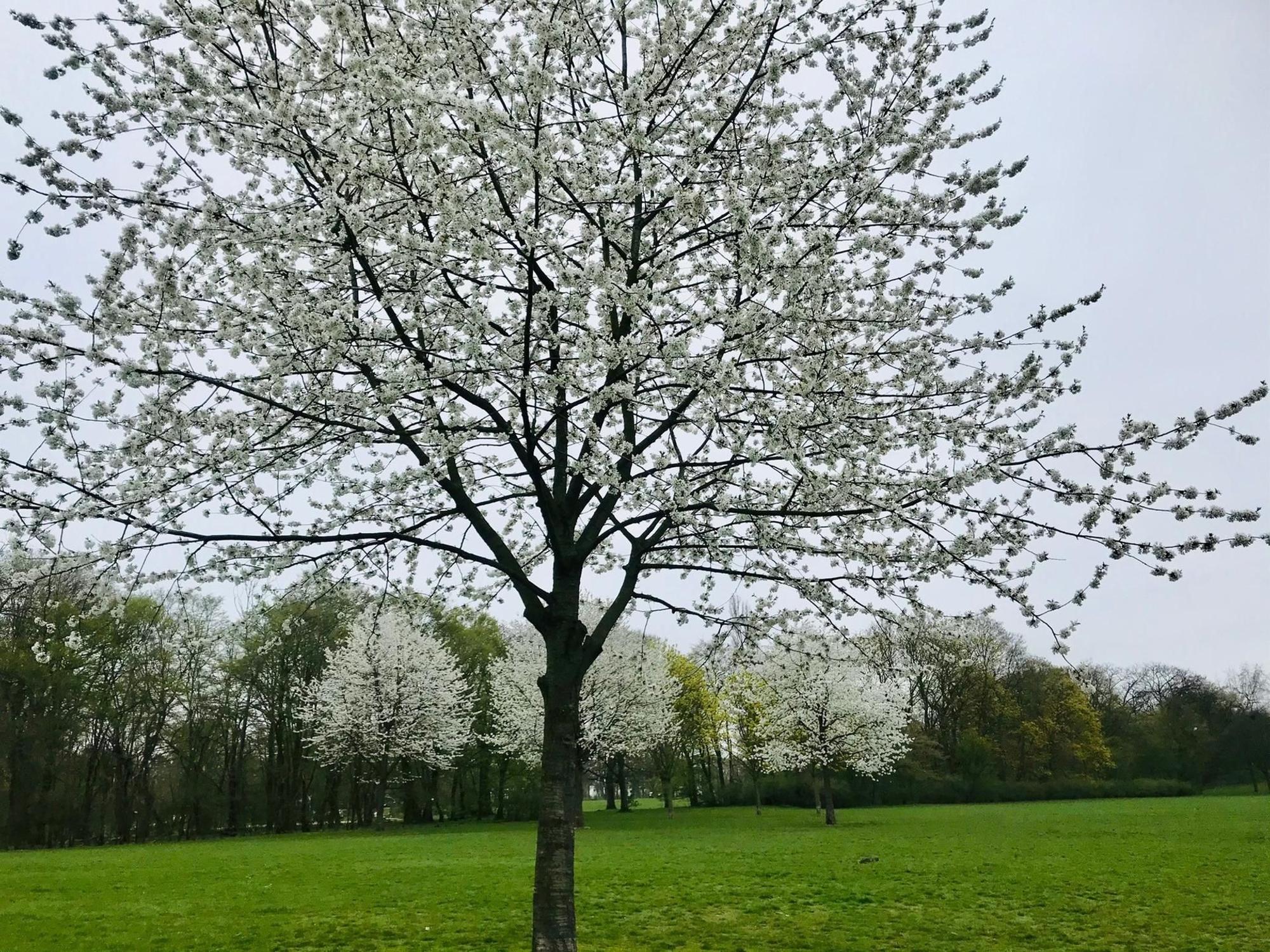 Vorgebirgspark