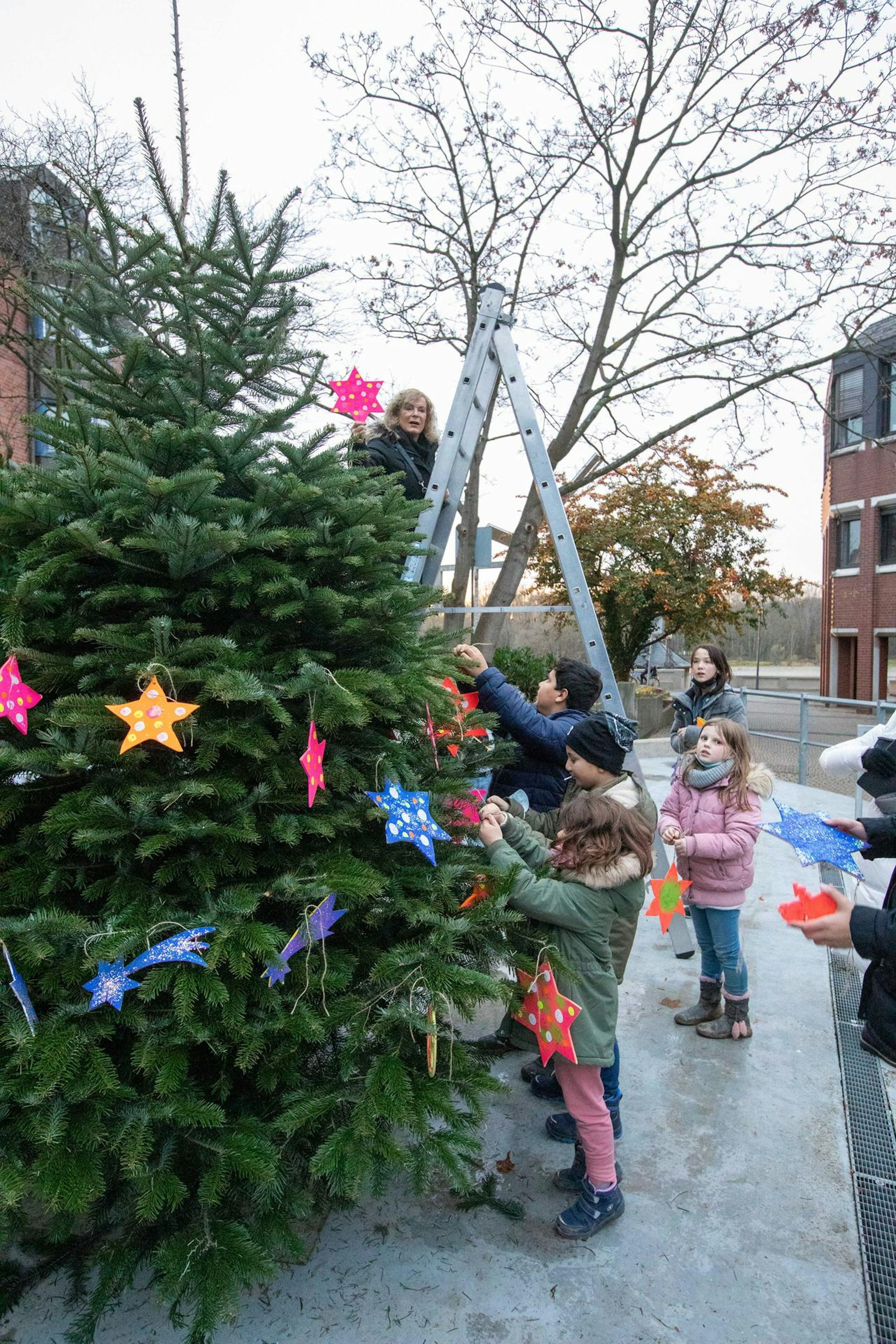 rde_KP_BaumGlashuette2 (1)