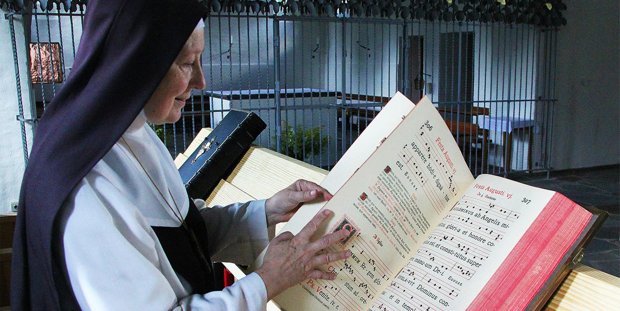 Steinfeld-Trappistinnen (3)