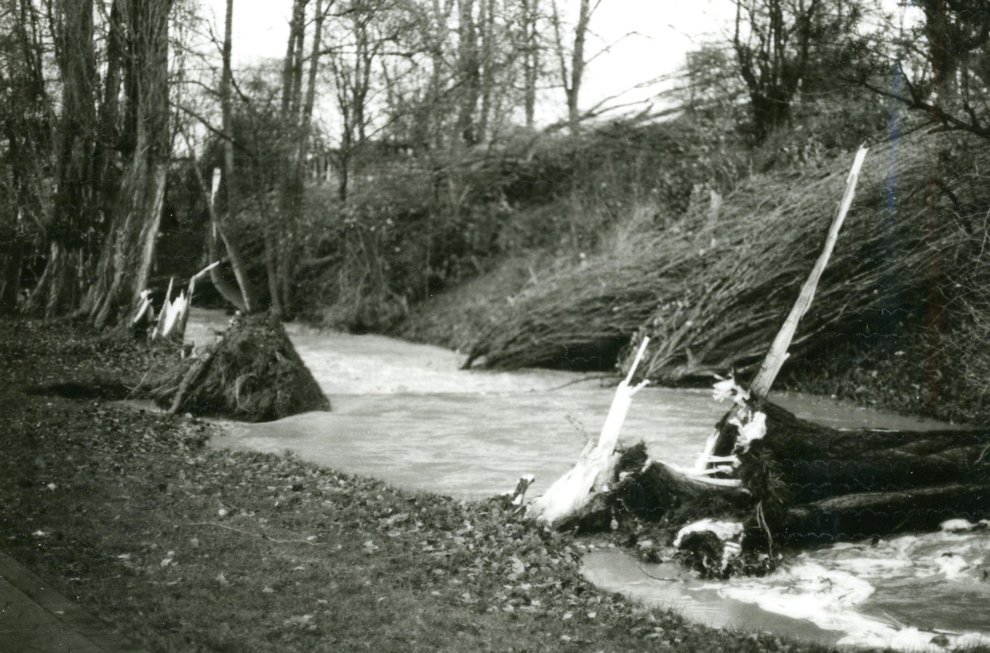 Hochwasser_Meckenheim_Bach