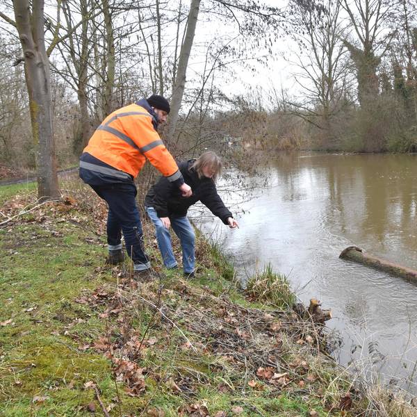bb-Wilde-Rodungen-Erftufer-FTZ (7)