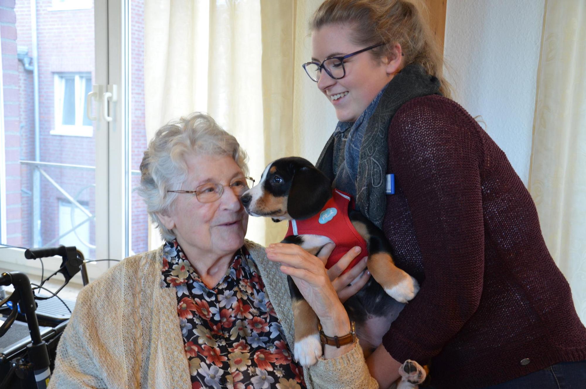 Hundebesuchsdienst_Brühl3