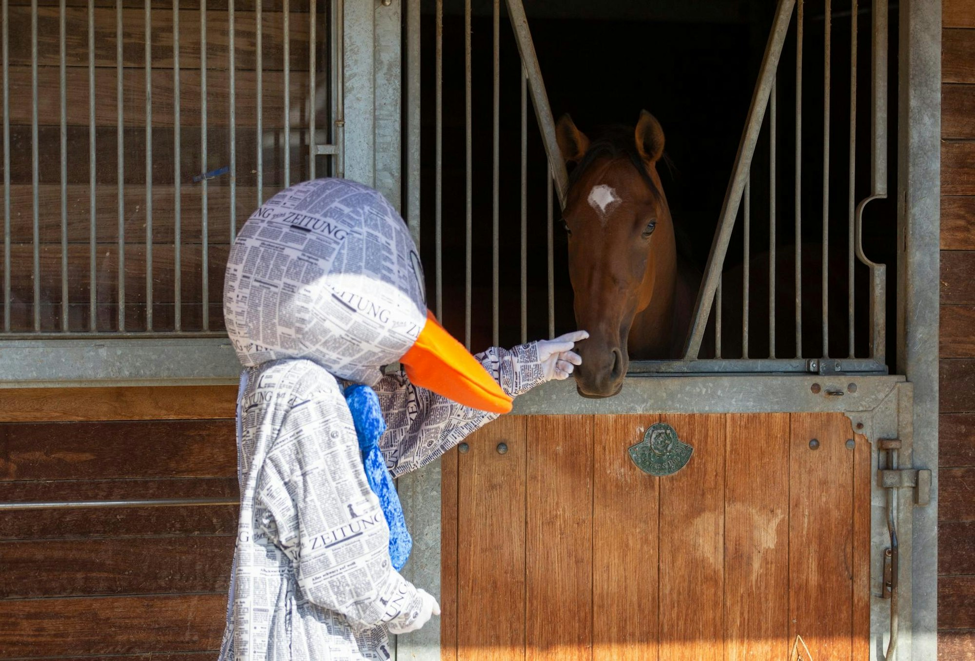 Paula streichelt ein Pferd