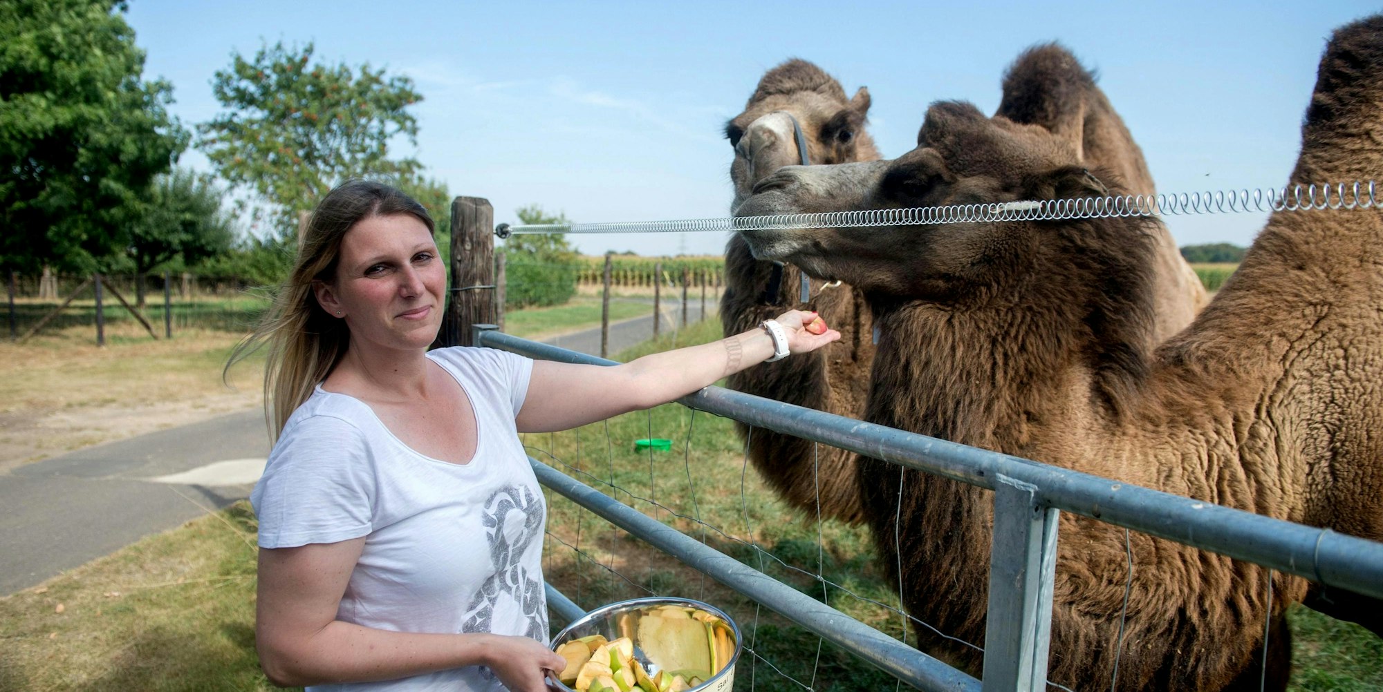 ratsheimerhof_erlebnis_paeda-3