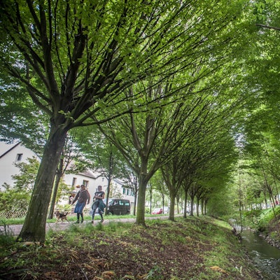 wiembachallee_RLE_Leverkusen-21052021ALF_1961