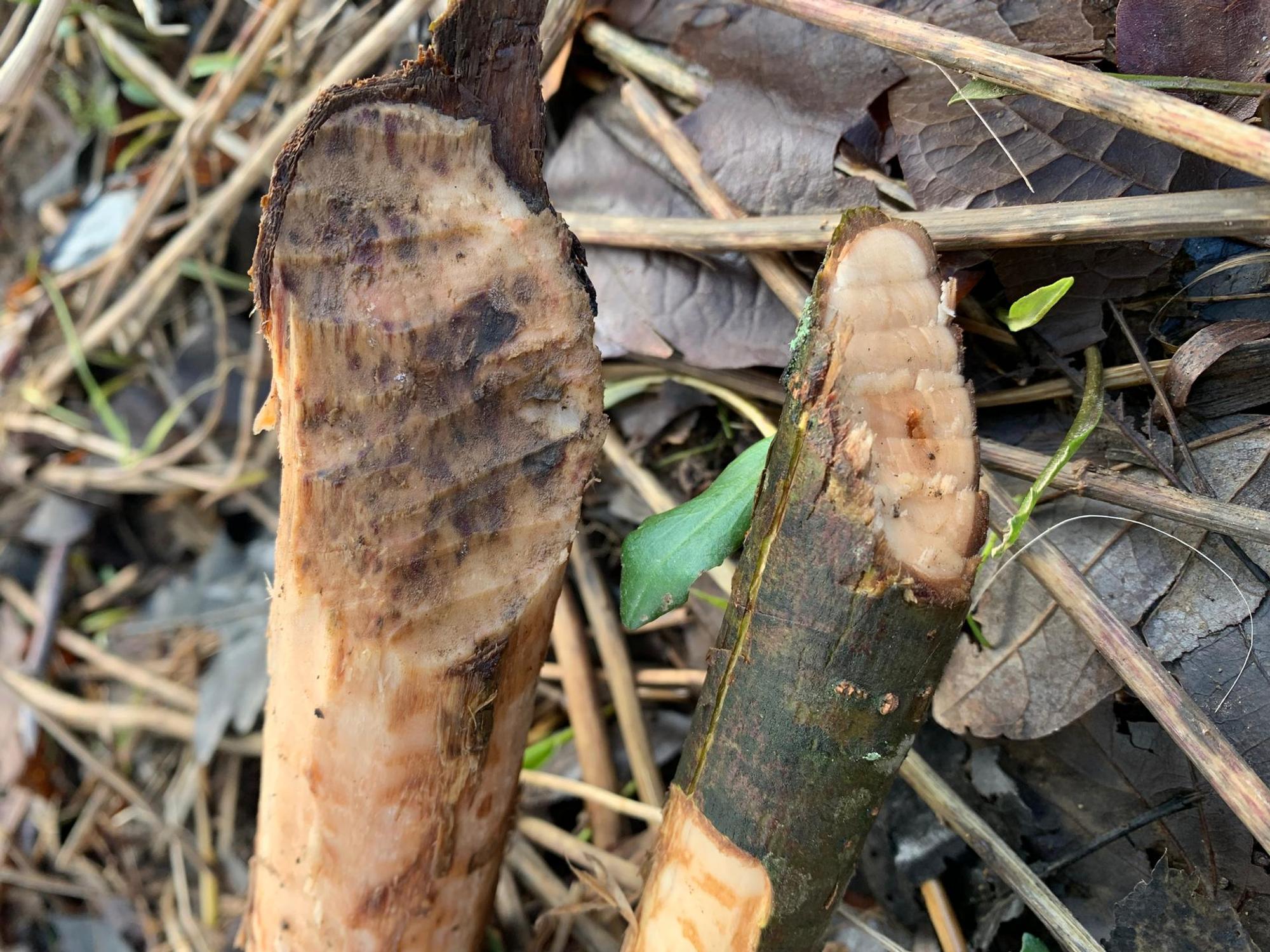 Neuer Inhalt