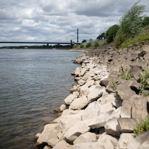rheinpegel
