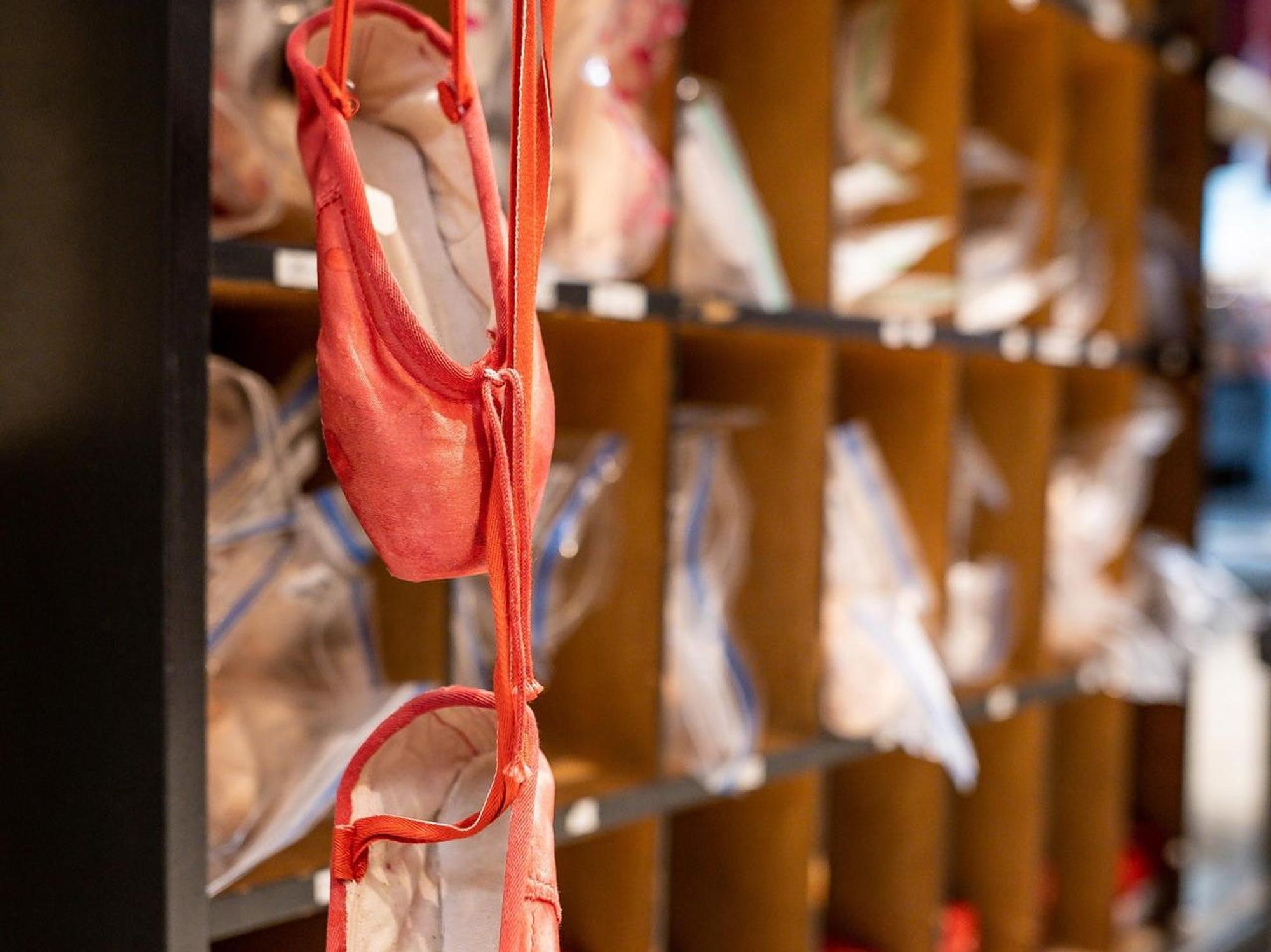 Spitzenschuhe_Ballerinas_Rot