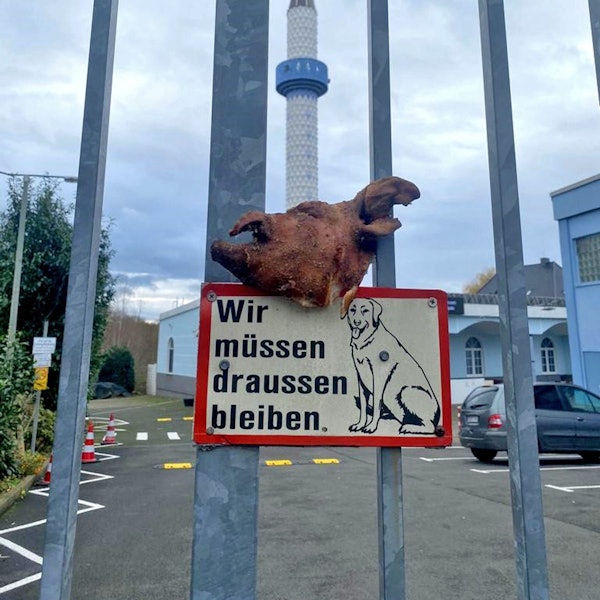 Schweinekopf Dortmunfd Mosche