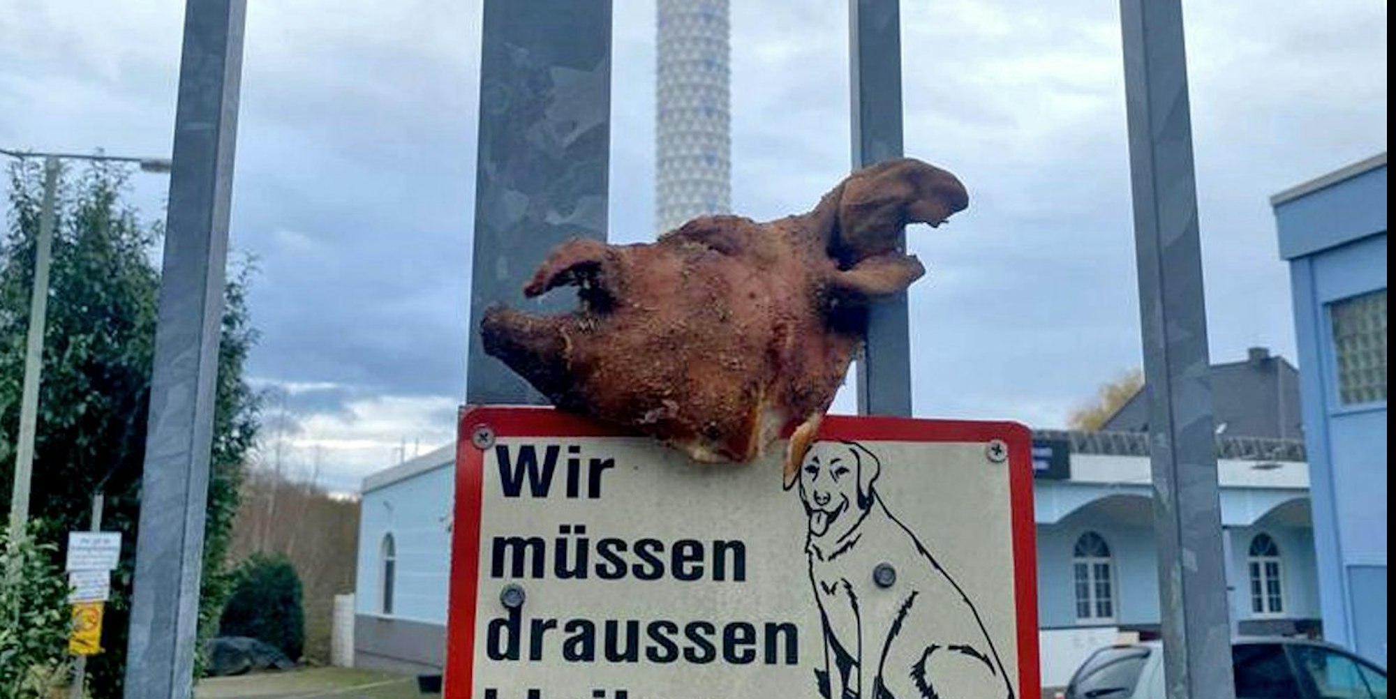 Schweinekopf Dortmunfd Mosche
