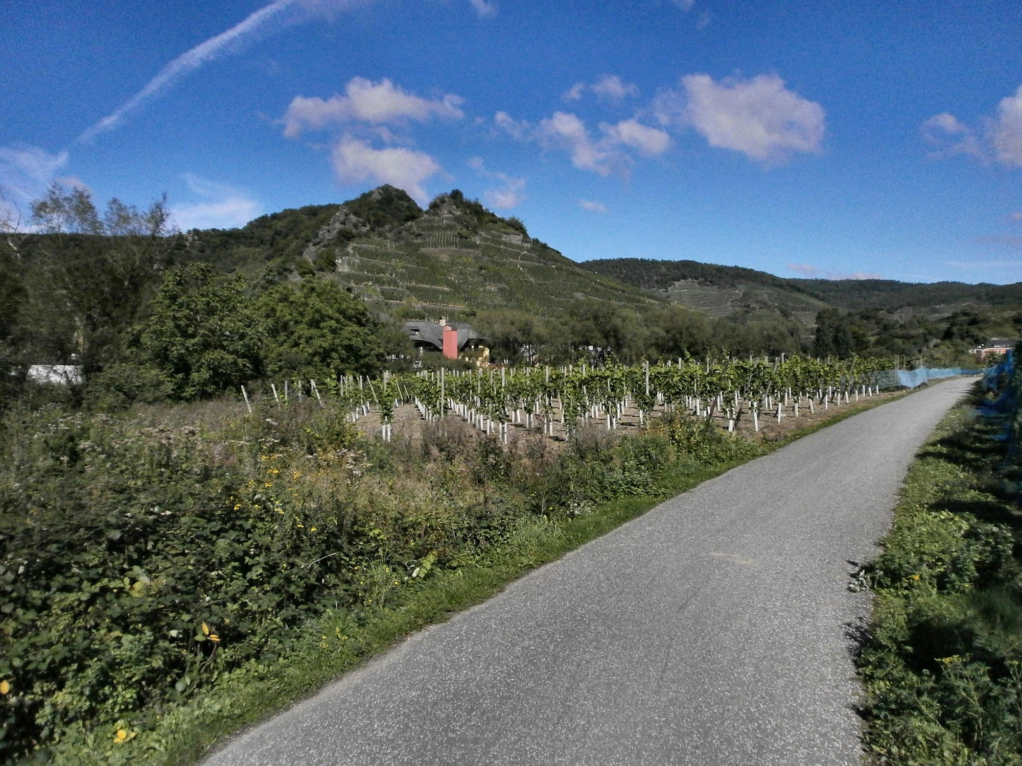 Ahr-Radweg-Wiki_4.0_Bronstein10