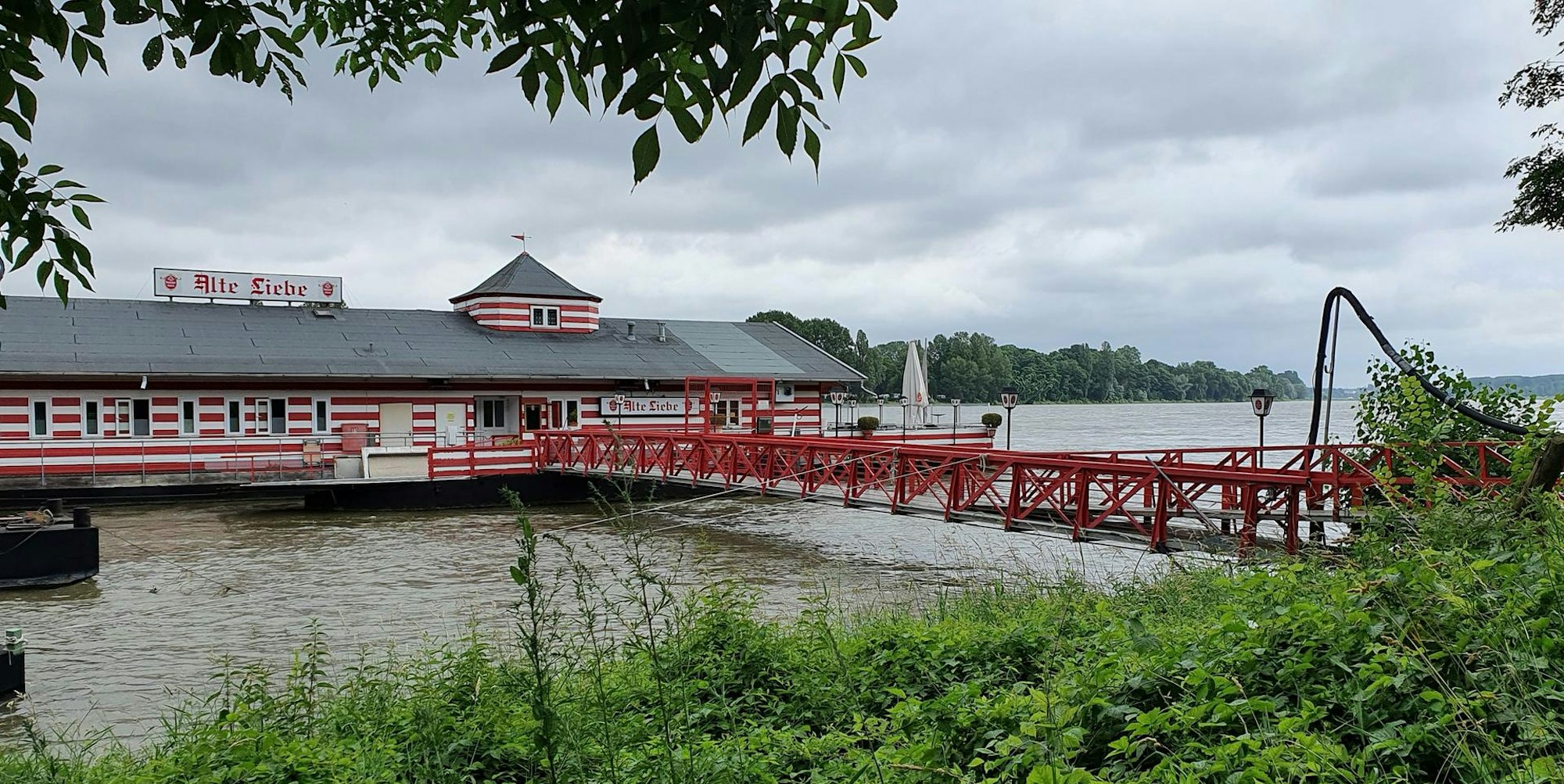 sues Alte Liebe 4