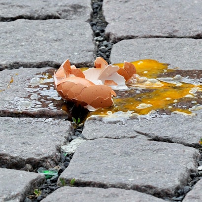 Gericht Eierwurf Wolfgarten