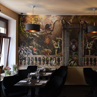 270919GastroAstrein17