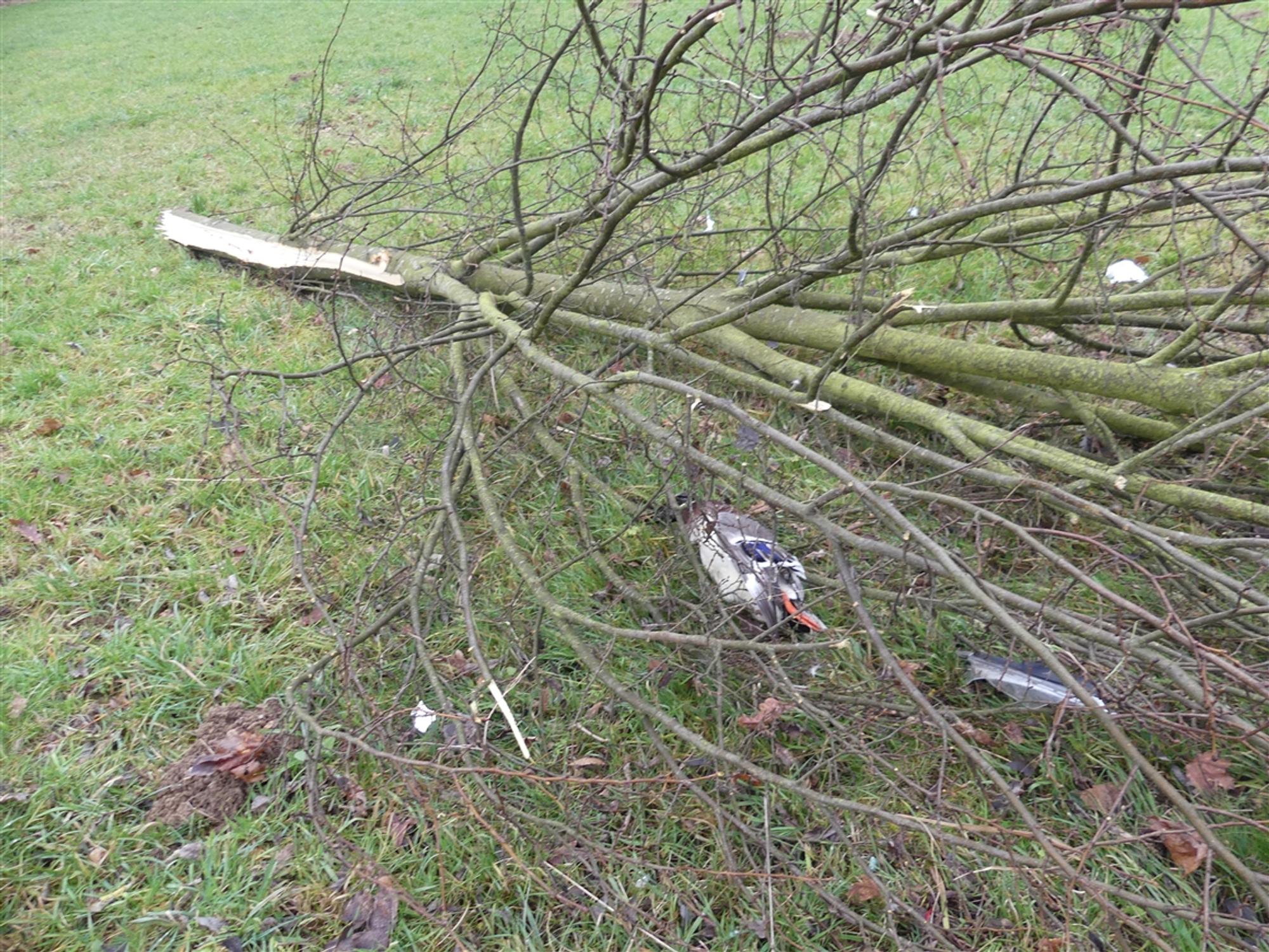 Unfall 240120 Bild 1