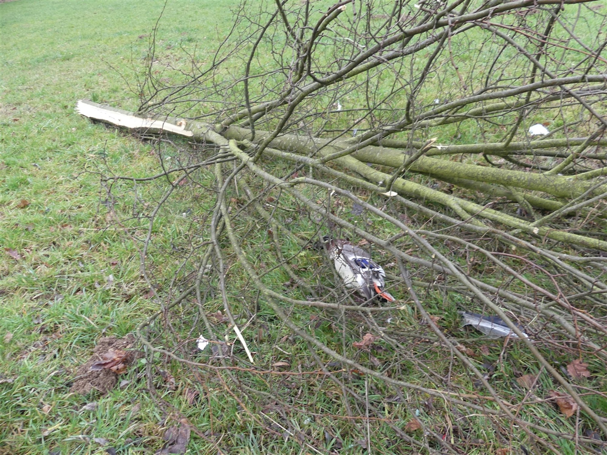 Unfall 240120 Bild 1