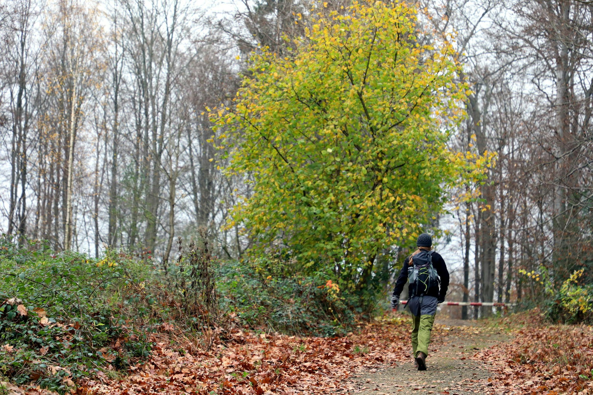 Raetseltour_Lerbach_0291