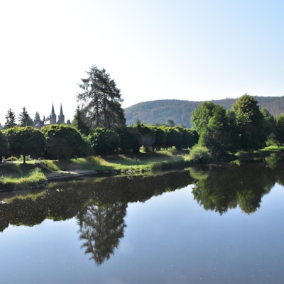 Sieg_Dattenfeld_Kugelahorne