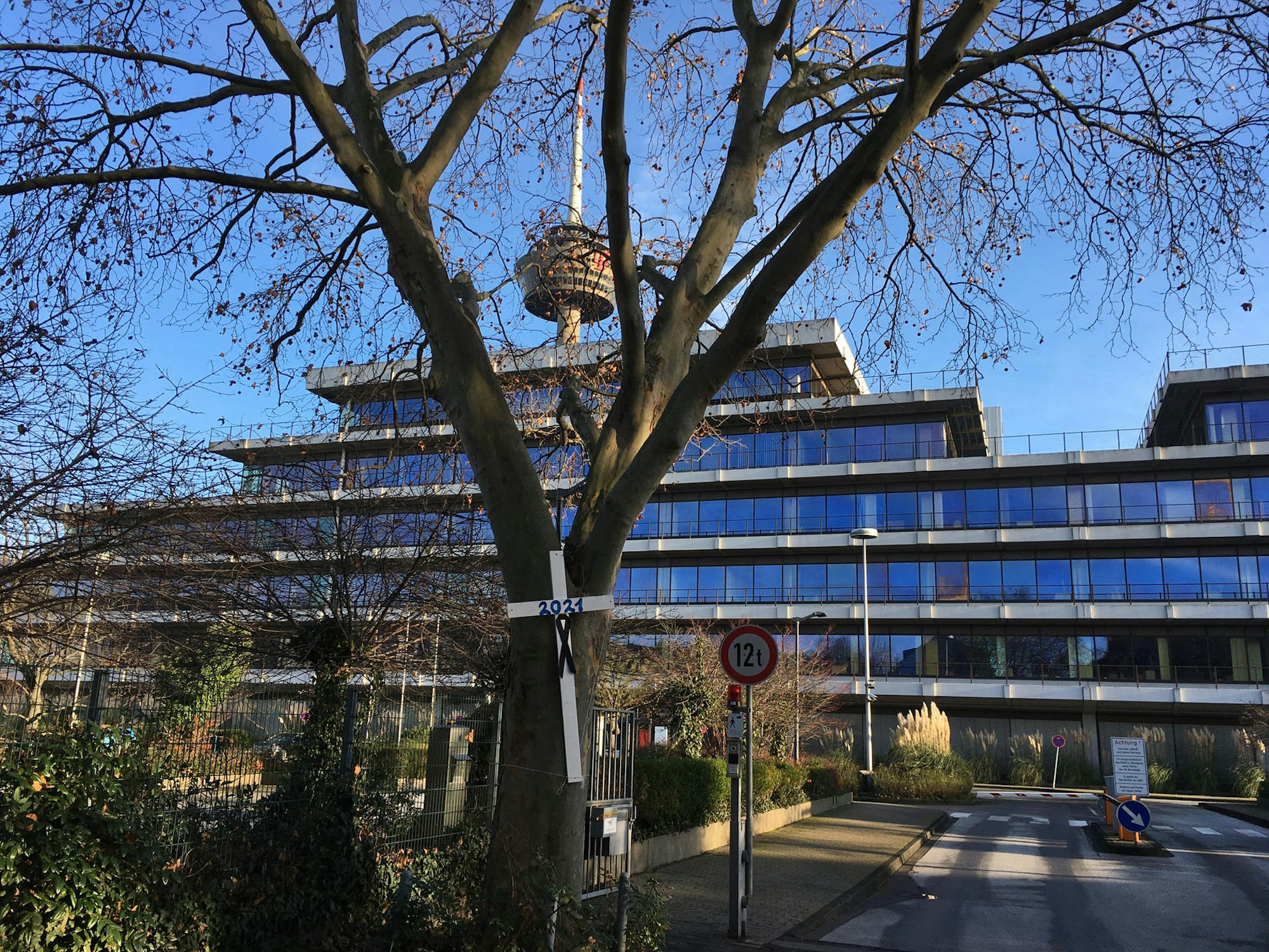 MDS-KSTA-2021-01-19-71-169242712