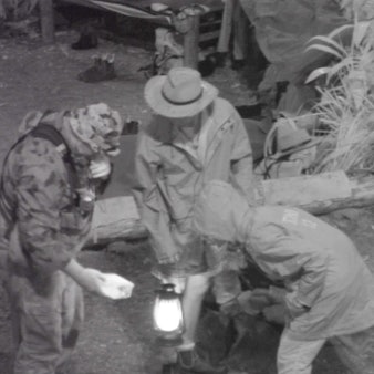 IBES 9 Trichternetzspinne