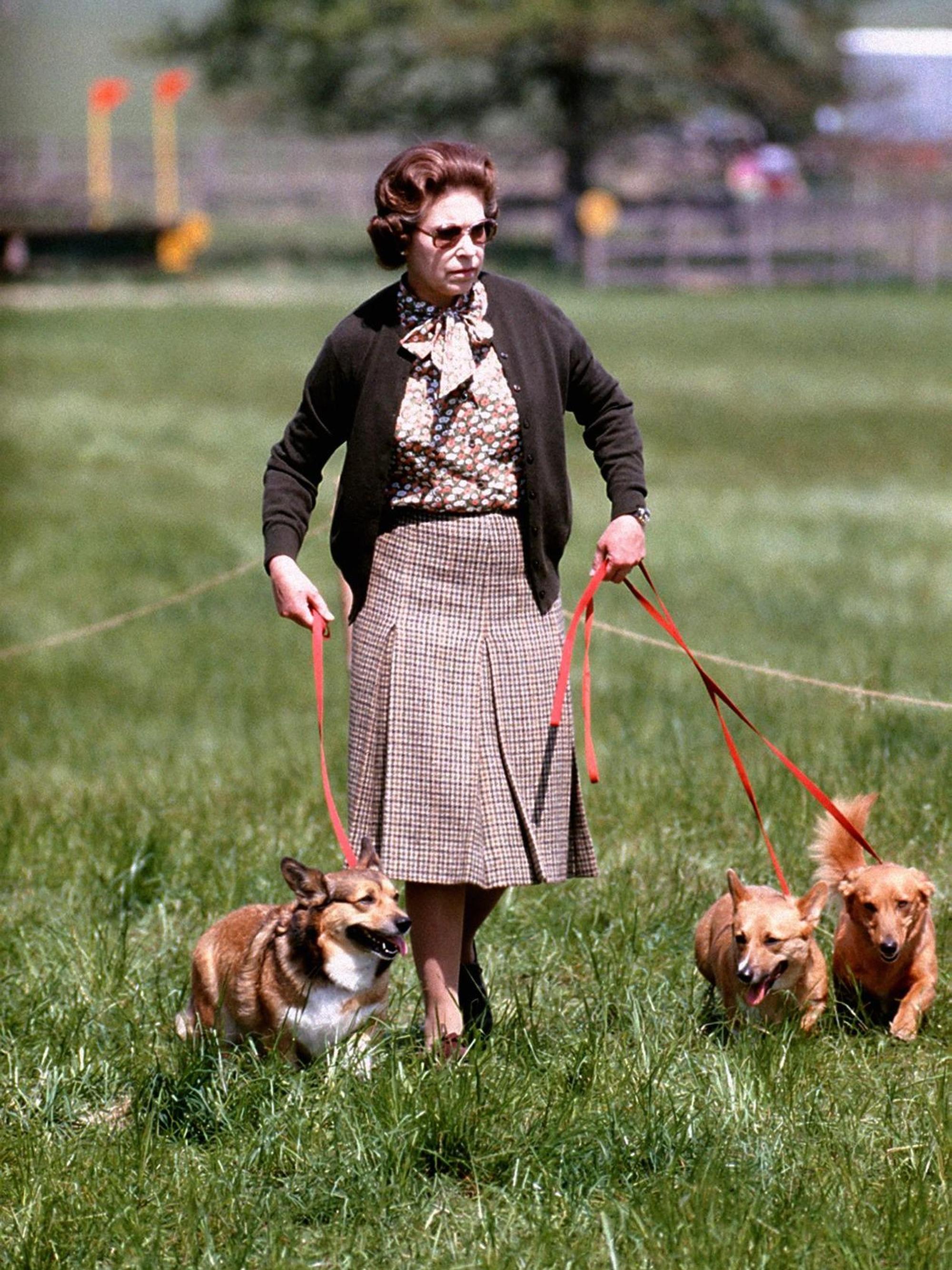 Königin Elizabeth II. im Jahr 1980 mit ihren Corgis auf einer Wiese.