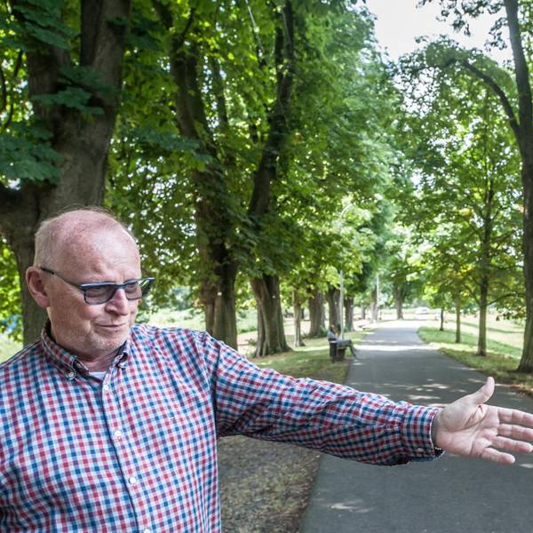 nolden-kastanienallee-ALF_3643