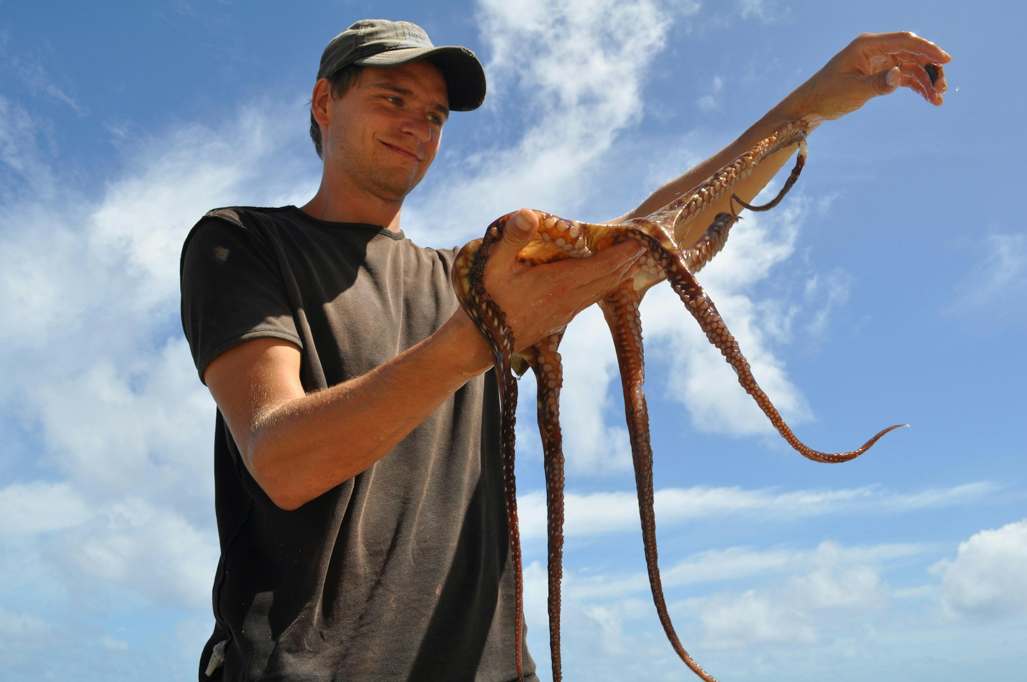 Tintenfisch (c) Hoffmann