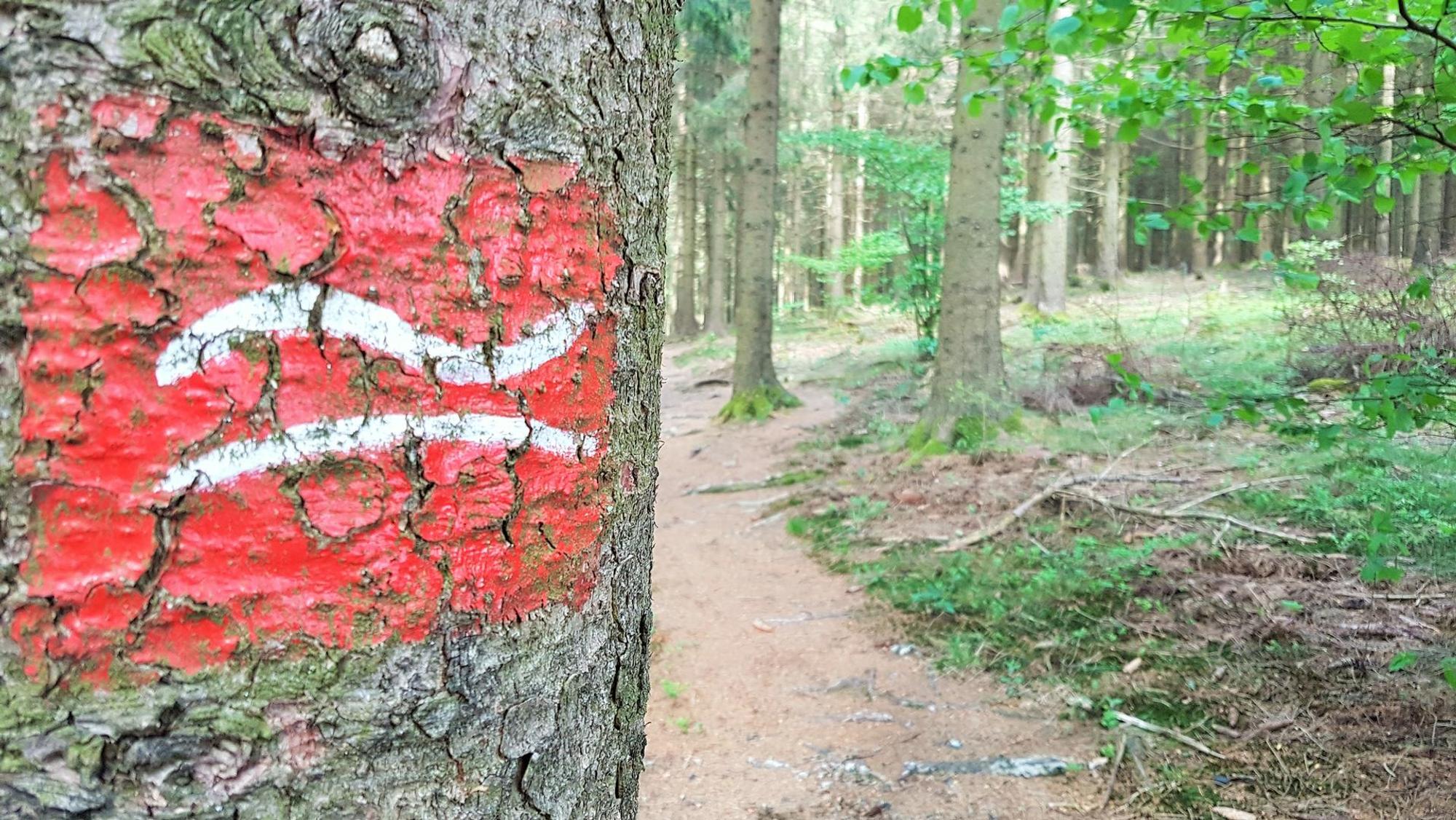 Immer dem liegenden R nach. Die roten Markierungen kennzeichenen den Rothaarsteig_