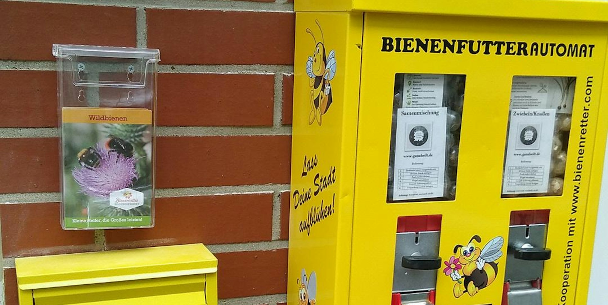 Neuer Inhalt