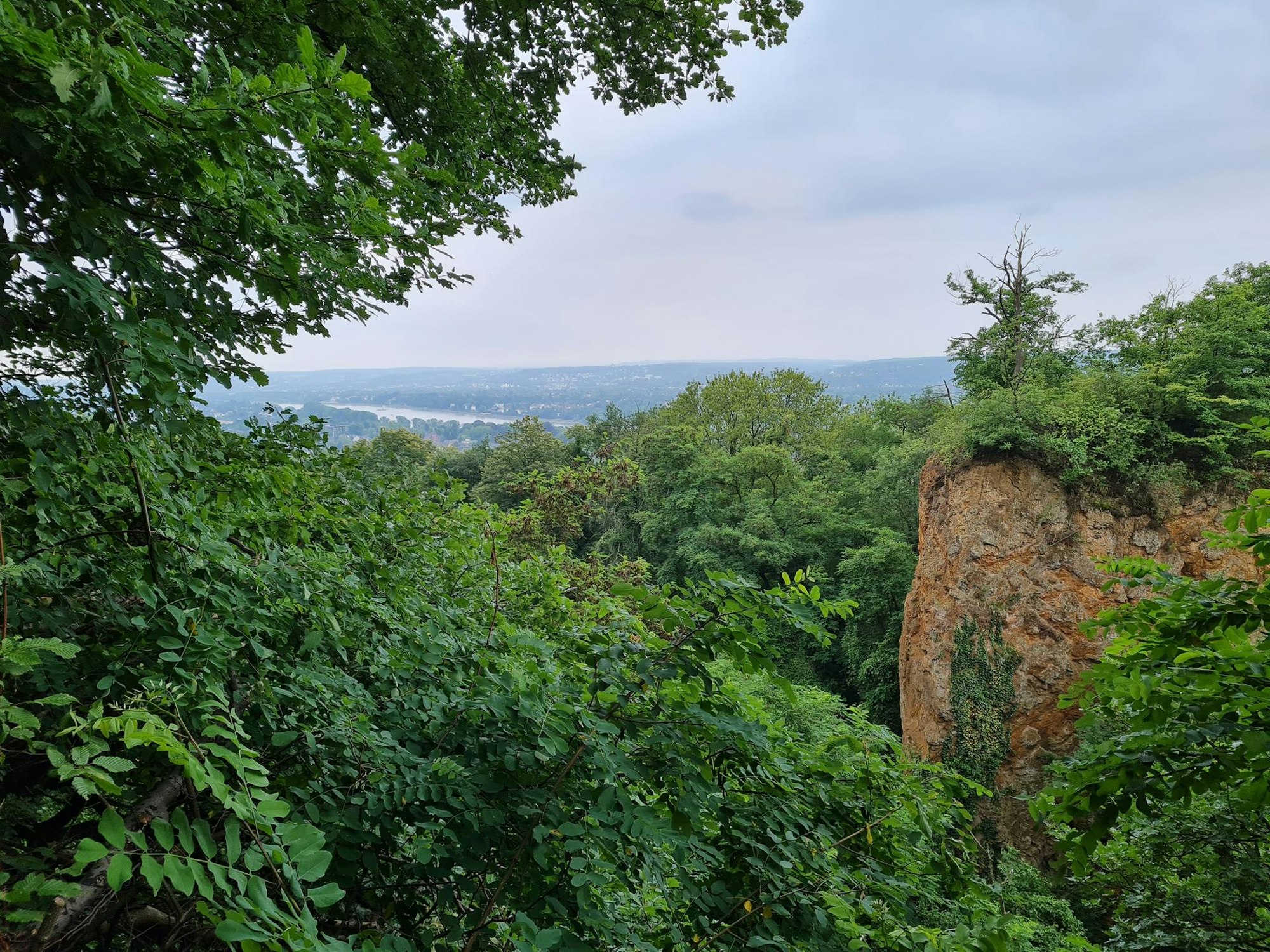 Rheinsteig Dornheckensee