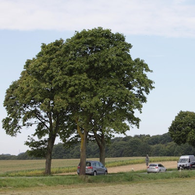 MDS-KR-2016-04-04-71-97689836