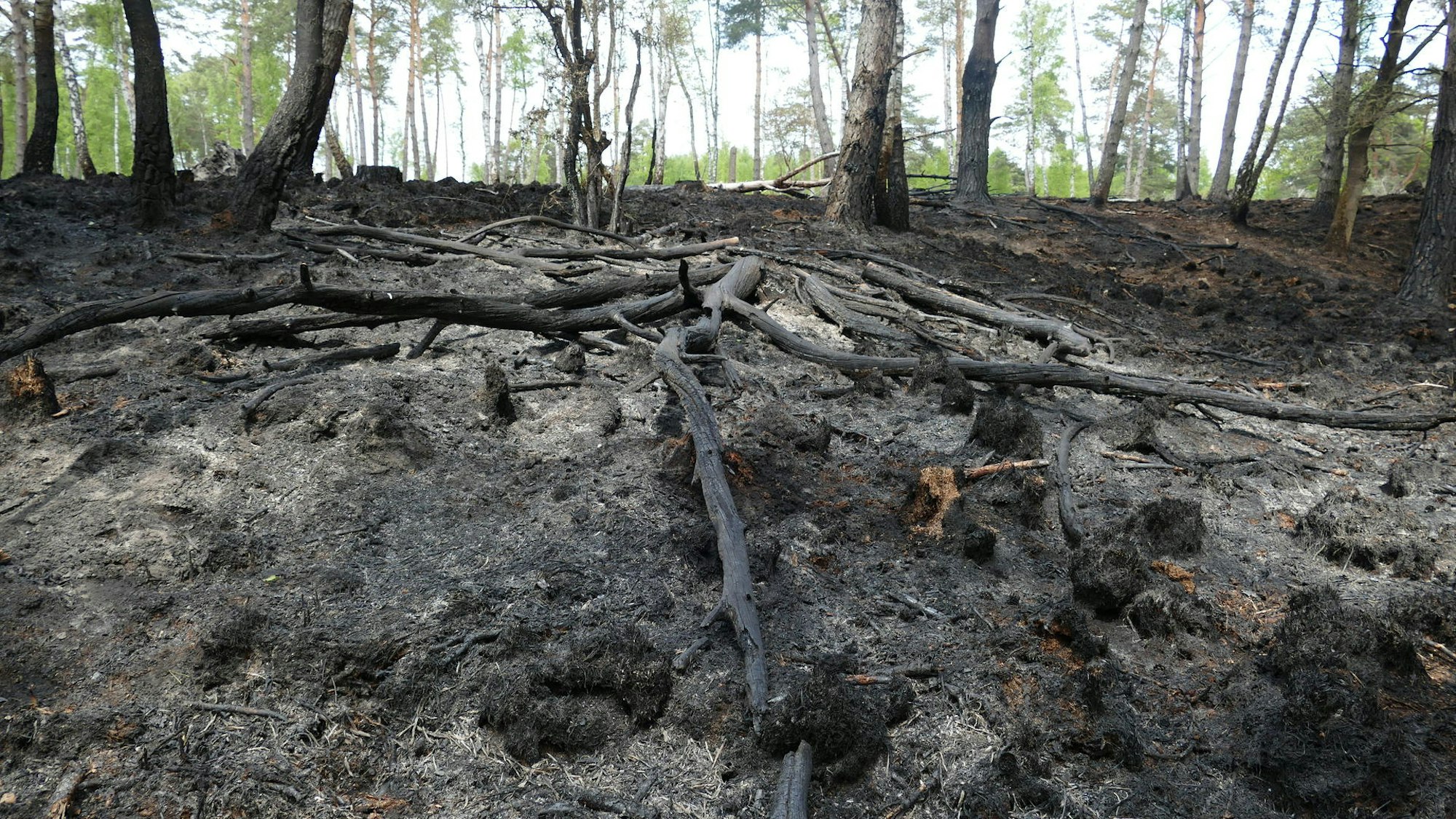 22020505-mfu-waldbrand-nachdreh_06