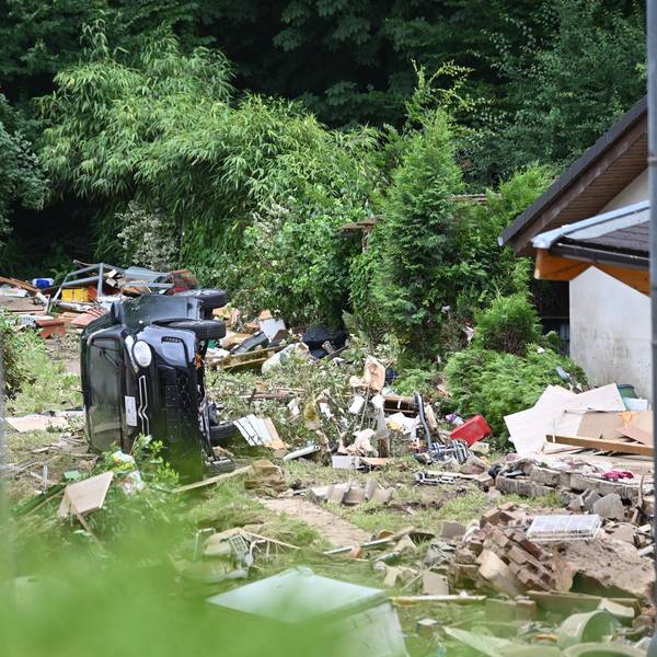 Auto im Garten 180821