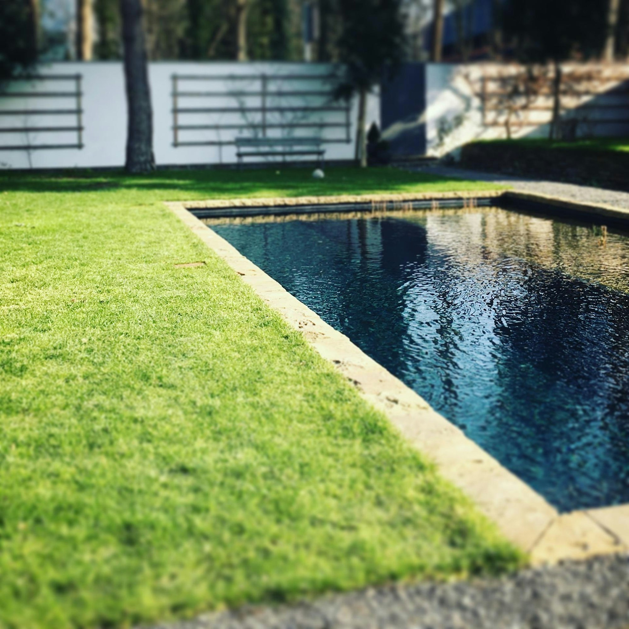 Schwimmteich 2 Holnburger