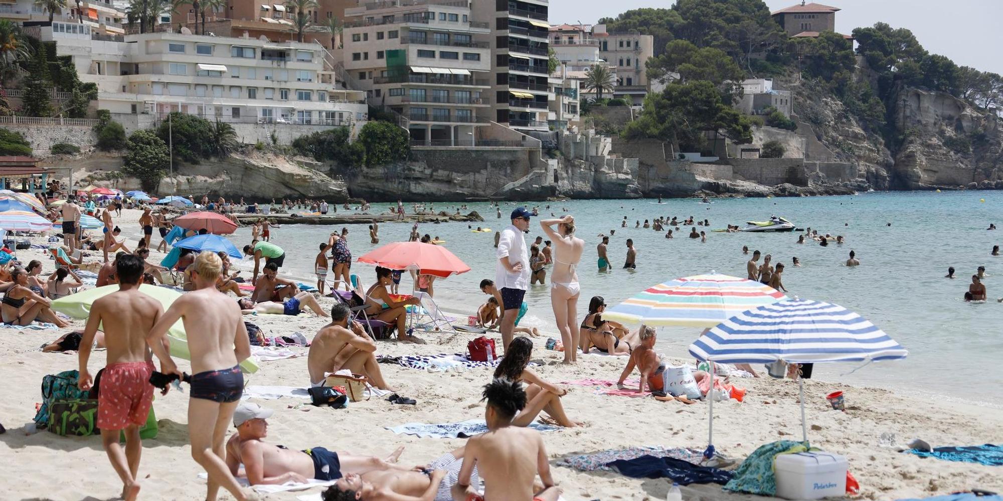Mallorca Tourismus (1)