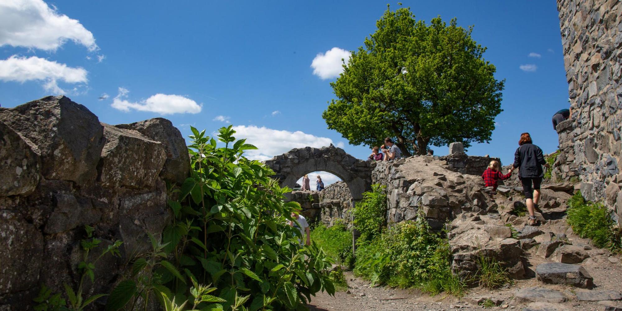 Burgen Bild 1_Burgen_im_Siebengebirge_mit_Menschen